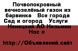 Почвопокровный, вечнозелёный газон из барвинка - Все города Сад и огород » Услуги   . Ненецкий АО,Нельмин Нос п.